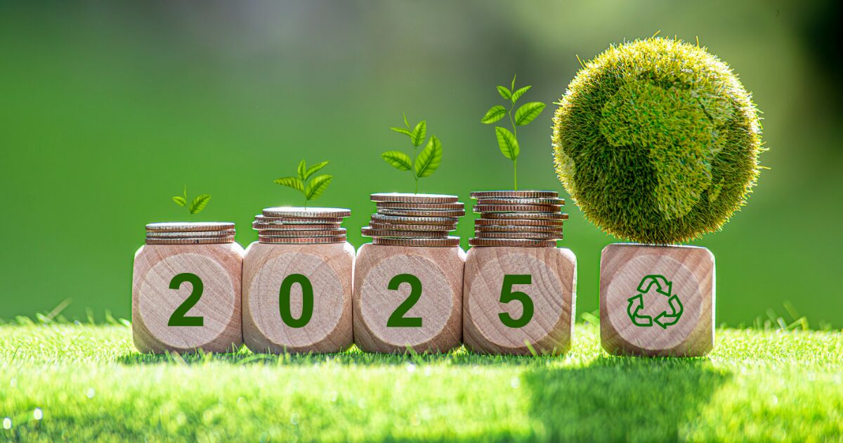 2025と書かれた木製ブロックが芝生の笛に置かれている写真